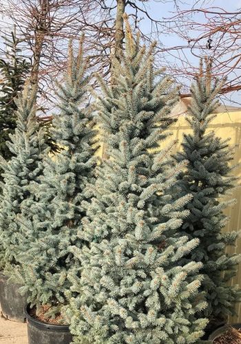 IMG_20260709_112311_875